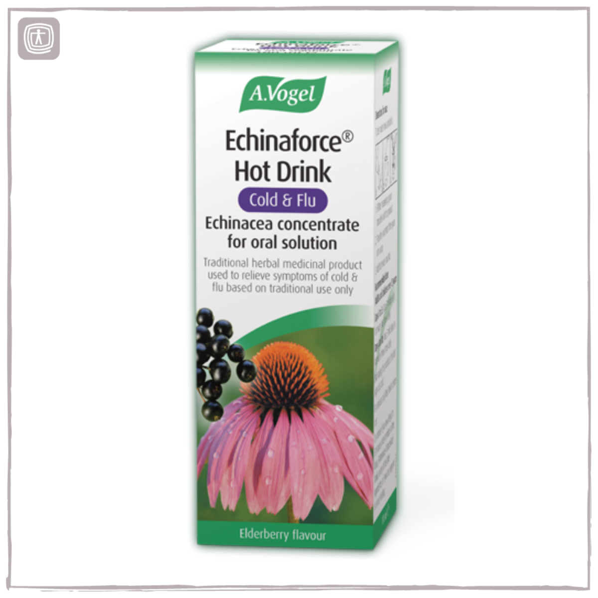 A Vogel Echinaforce Hot Drink  Cold & Flu 100ml
